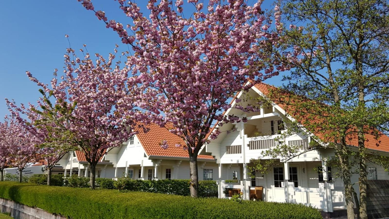 Holiday Park Dennenbos Oostkapelle Exteriör bild